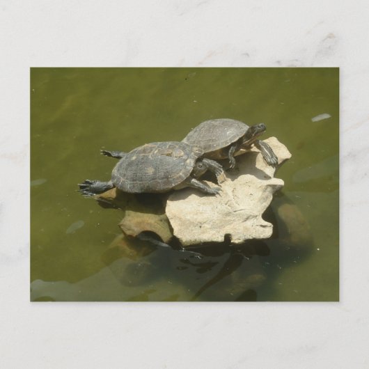 Sonnenbäder Postkarte (Vorderseite)