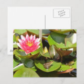 Sonnenbäder Postkarte (Vorne/Hinten)