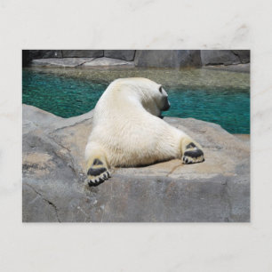 Sonnenbader Postkarte