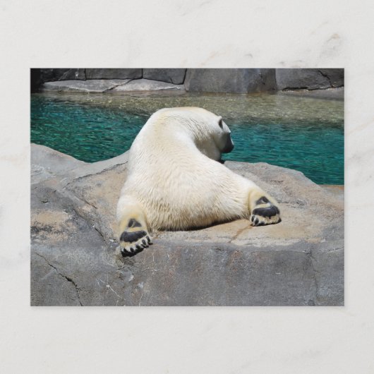 Sonnenbader Postkarte (Vorderseite)