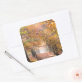 Sonnenbänke auf einem Herbstaufkleber Quadratischer Aufkleber (Umschlag)