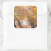 Sonnenbänke auf einem Herbstaufkleber Quadratischer Aufkleber (Tasche)