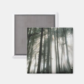 Sonnenbänke, die durch Bäume strömen, Berg Rainier Magnet (Vorderseite/Rückseite)