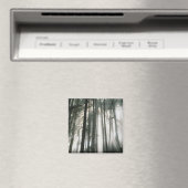 Sonnenbänke, die durch Bäume strömen, Berg Rainier Magnet (In Situ (Geschirrspüler))