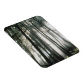 Sonnenbänke, die durch Bäume strömen, Berg Rainier Magnet (Rechte Seite)