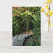 Sonnenbänke im Beileid Woods Karte (Gelbe Blume)