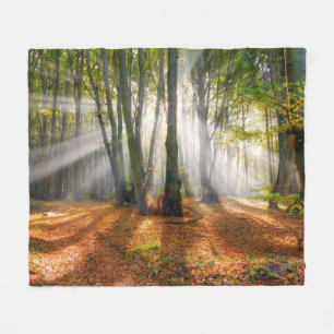 Sonnenbänke im Herbst in einem miessigen Buchenwal Fleecedecke