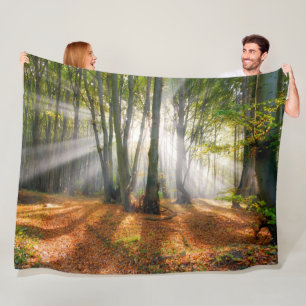 Sonnenbänke im Herbst in einem miessigen Buchenwal Fleecedecke