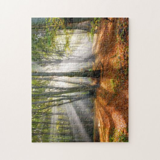 Sonnenbänke im Herbst in einem miessigen Buchenwal Puzzle (Vertikal)