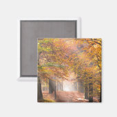 Sonnenbänke im Herbstwaldmagneten Magnet (Vorderseite/Rückseite)