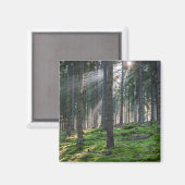 Sonnenbänke im Schwarzwald Magnet (Vorderseite/Rückseite)