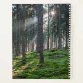 Sonnenbänke im Schwarzwald Planer (Rückseite)