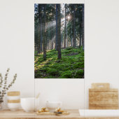 Sonnenbänke im Schwarzwald Poster (Küche)