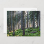 Sonnenbänke im Schwarzwald Postkarte (Vorne/Hinten)