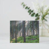 Sonnenbänke im Schwarzwald Postkarte (Stehend Vorderseite)