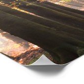 Sonnenbänke in einem Herbstposter Poster (Ecke)