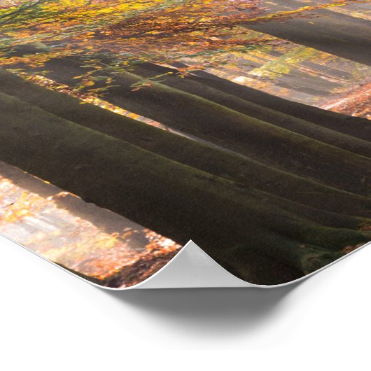 Sonnenbänke in einem Herbstposter Poster (Ecke)