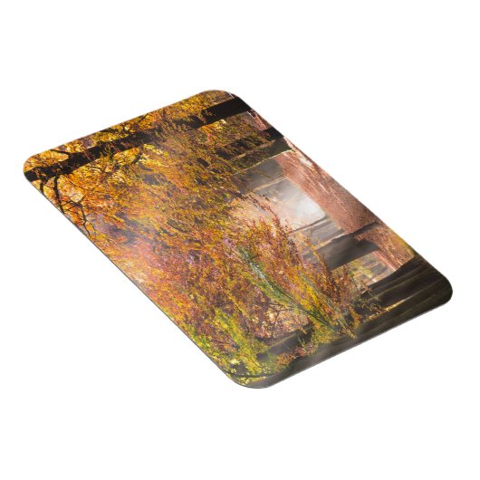 Sonnenbänke in einem rechteckigen Herbstmagneten Magnet (Rechte Seite)