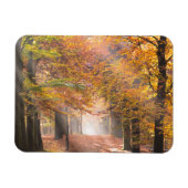 Sonnenbänke in einem rechteckigen Herbstmagneten Magnet (Horizontal)