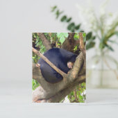 Sonnenbär Feiertagspostkarte (Stehend Vorderseite)