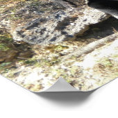 Sonnenbär Poster (Ecke)