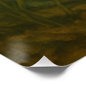 Sonnenbarsch Poster (Ecke)