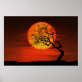 Sonnenbaum Poster (Vorne)
