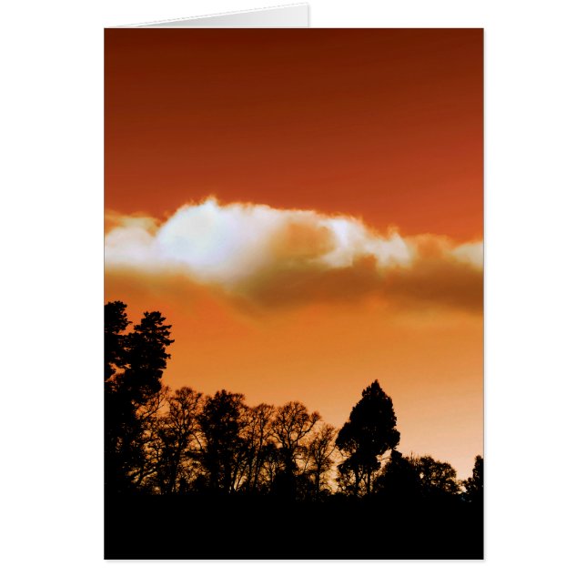 Sonnenbäume (Vorne)