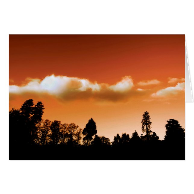 Sonnenbäume (Vorderseite (Horizontal))
