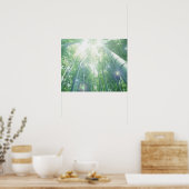 Sonnenbäume, die durch Bambusse strahlen Poster (Küche)