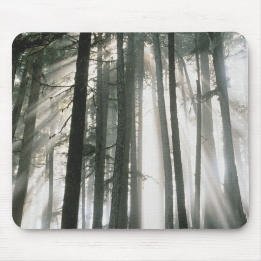 Sonnenbäume, die durch Bäume strömen, Mount Rainie Mousepad (Vorne)