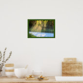 Sonnenbäume durch die Bäume Poster (Küche)