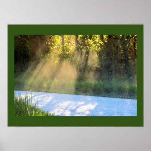 Sonnenbäume durch die Bäume Poster (Vorne)