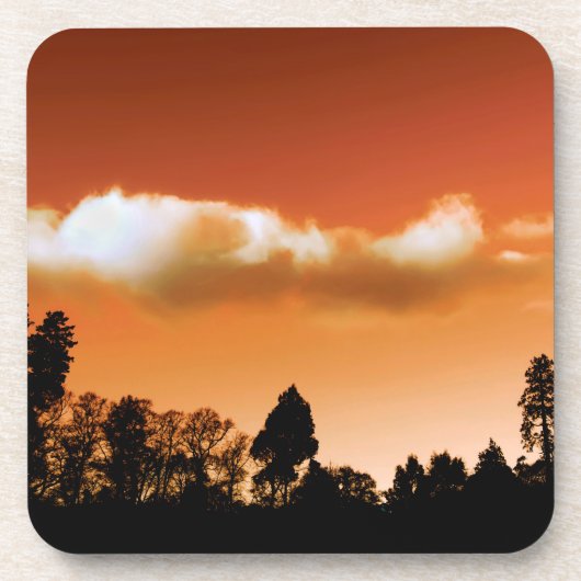 Sonnenbäume Getränkeuntersetzer (Vorderseite)