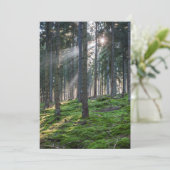 Sonnenbäume im Schwarzwald Dankeskarte (Stehend Vorderseite)