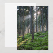 Sonnenbäume im Schwarzwald Dankeskarte (Vorne/Hinten)