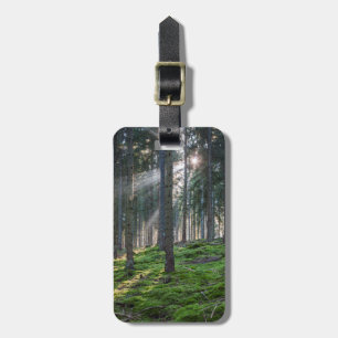 Sonnenbäume im Schwarzwald Gepäckanhänger