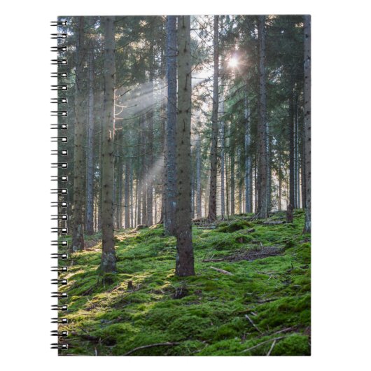 Sonnenbäume im Schwarzwald Notizblock (Vorderseite)