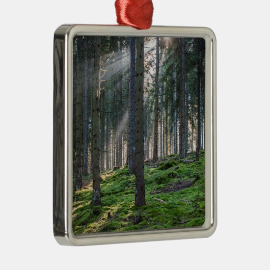 Sonnenbäume im Schwarzwald Ornament Aus Metall (Rechts)