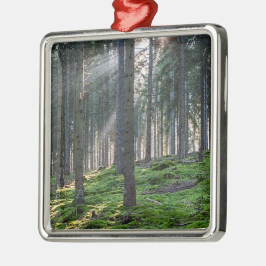 Sonnenbäume im Schwarzwald Ornament Aus Metall (Links)