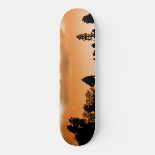 Sonnenbäume Skateboard (Vorderseite)