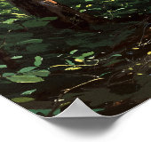 Sonnenbeleuchtete Canopies - Malerische Illustrati Poster (Ecke)