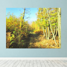 Sonnenbeleuchtete Wälder im Herbst - Leinwanddruck