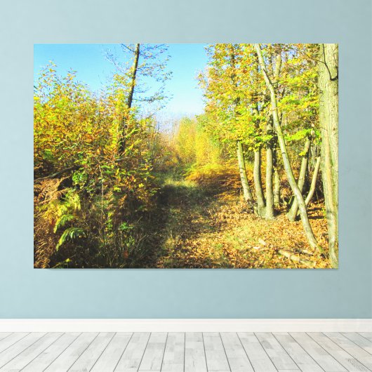 Sonnenbeleuchtete Wälder im Herbst - Leinwanddruck (Insitu (Holzboden))