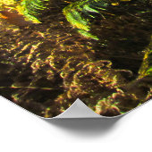 Sonnenbeleuchtete Wälder im Herbst - Personalisier Poster (Ecke)