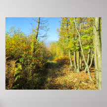 Sonnenbeleuchtete Wälder im Herbst - Personalisier