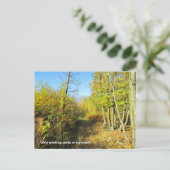 Sonnenbeleuchtete Wälder im Herbst - Personalisier Postkarte (Stehend Vorderseite)