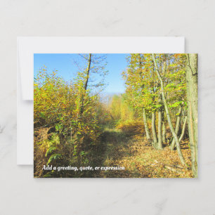 Sonnenbeleuchtete Wälder im Herbst - Personalisier Postkarte