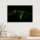 Sonnenbeleuchtete Waldfarne (6159) Poster (Küche)