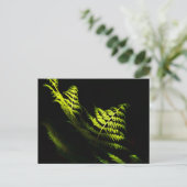 Sonnenbeleuchtete Waldfarne (6203), Postkarte (Stehend Vorderseite)